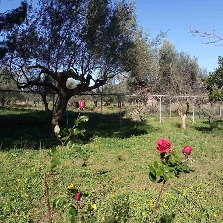 Manousi 2 - First Floor Semesterbostad Mystras