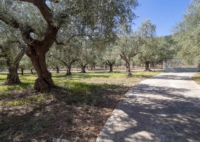 Manousi 2 - First Floor Vakantiehuis