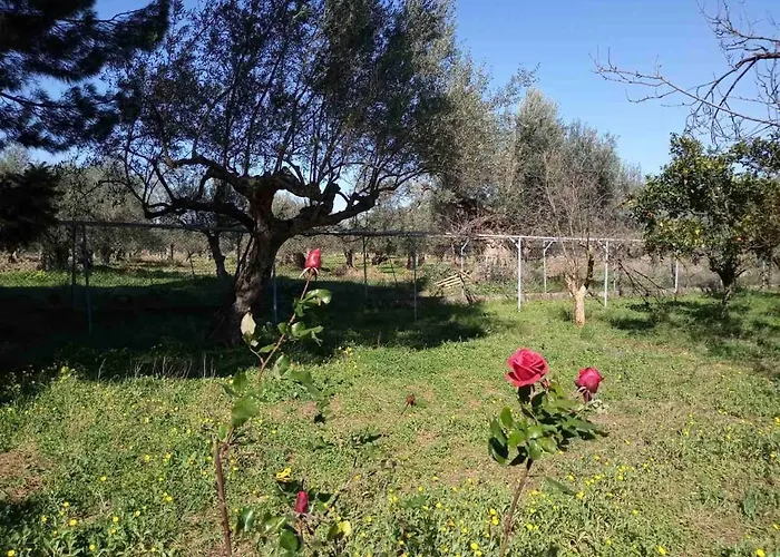 Manousi 2 - First Floor Vakantiehuis Mystras